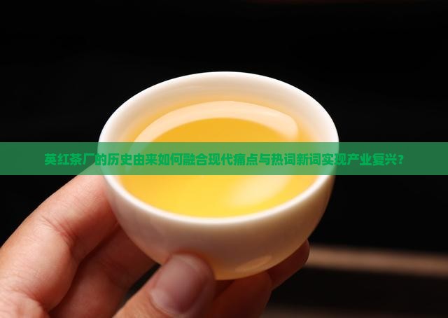 英红茶厂的历史由来如何融合现代痛点与热词新词实现产业复兴？