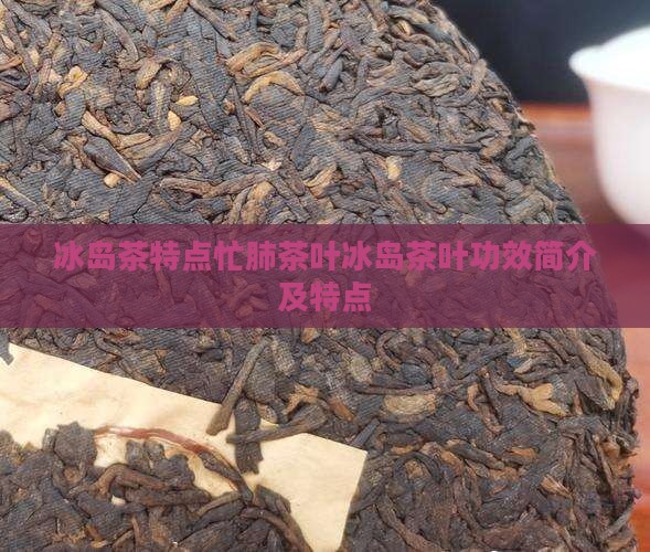冰岛茶特点忙肺茶叶冰岛茶叶功效简介及特点