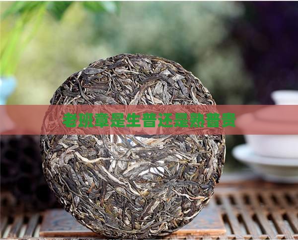 老班章是生普还是熟普贵