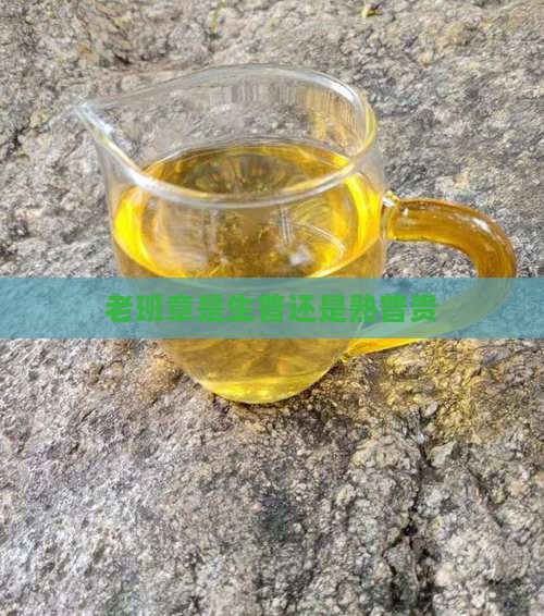 老班章是生普还是熟普贵