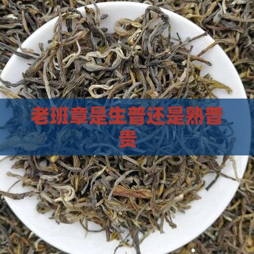 老班章是生普还是熟普贵