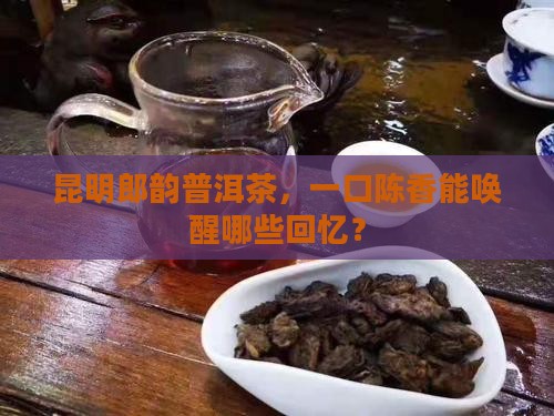 昆明郎韵普洱茶，一口陈香能唤醒哪些回忆？