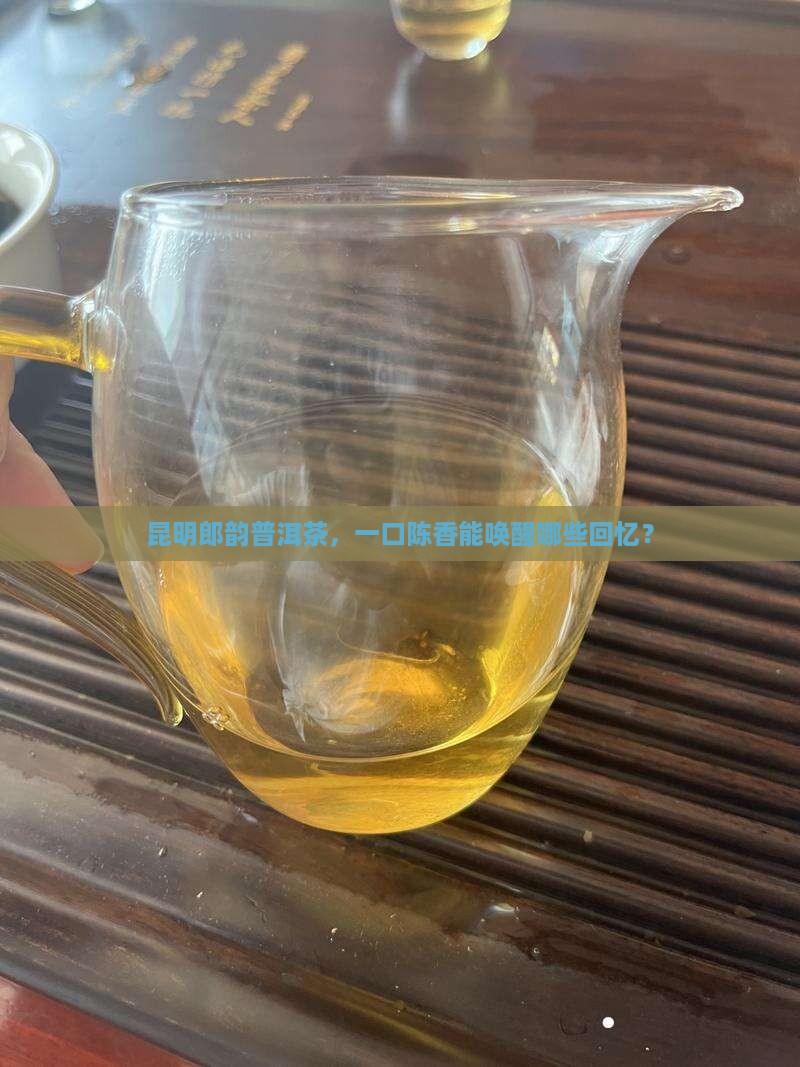 昆明郎韵普洱茶，一口陈香能唤醒哪些回忆？