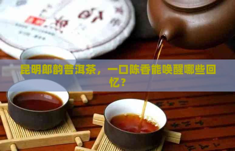 昆明郎韵普洱茶，一口陈香能唤醒哪些回忆？