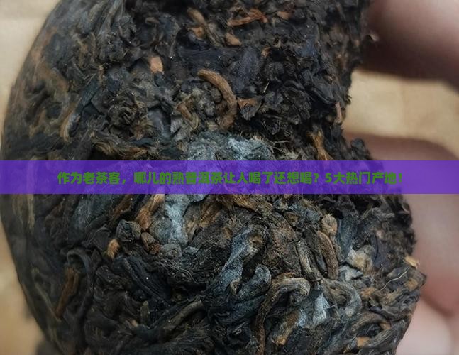 作为老茶客，哪儿的熟普洱茶让人喝了还想喝？5大热门产地！