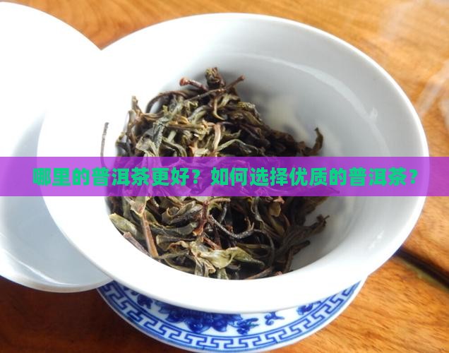哪里的普洱茶更好？如何选择优质的普洱茶？