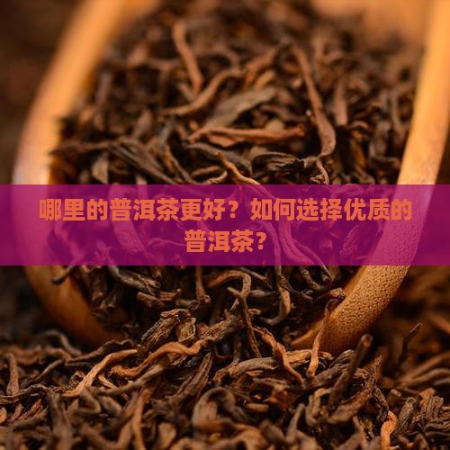 哪里的普洱茶更好？如何选择优质的普洱茶？