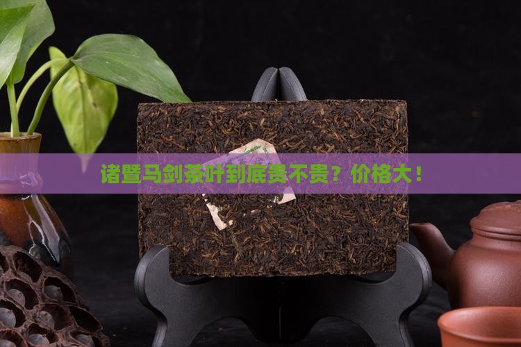 诸暨马剑茶叶到底贵不贵？价格大！