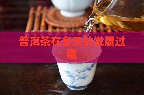 普洱茶在冬天的发展过程