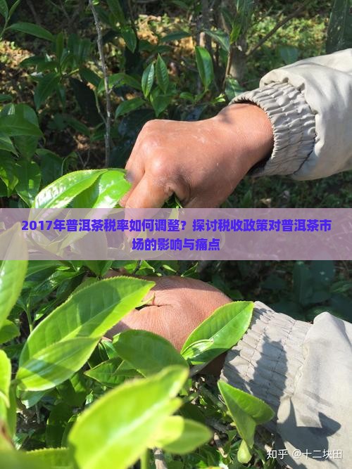 2017年普洱茶税率如何调整？探讨税收政策对普洱茶市场的影响与痛点