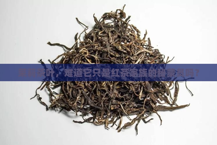 茉莉茶叶，难道它只是红茶家族的秘蒙员吗？