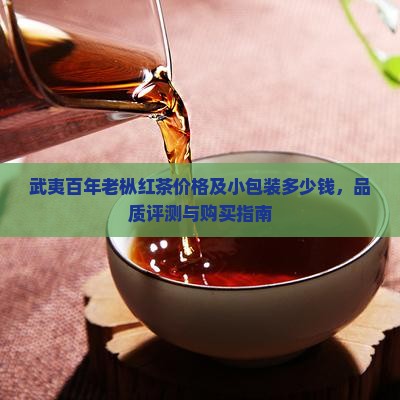 武夷百年老枞红茶价格及小包装多少钱，品质评测与购买指南