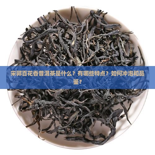 宋郭百花香普洱茶是什么？有哪些特点？如何冲泡和品鉴？