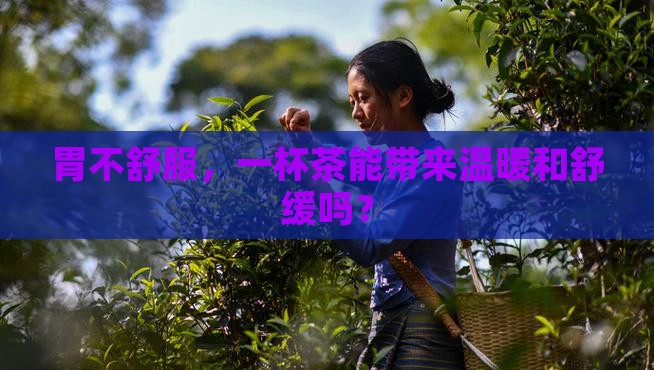 胃不舒服，一杯茶能带来温暖和舒缓吗？