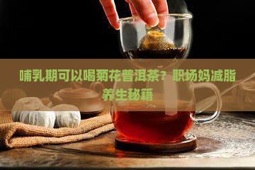 哺乳期可以喝菊花普洱茶？职场妈减脂养生秘籍