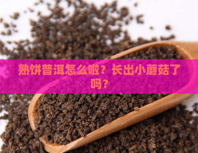 熟饼普洱怎么啦？长出小蘑菇了吗？