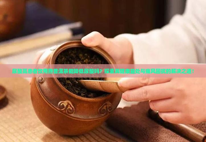 尿酸高患者饮用熟普洱茶能降低尿酸吗？探索其健康益处与痛风困扰的解决之道！