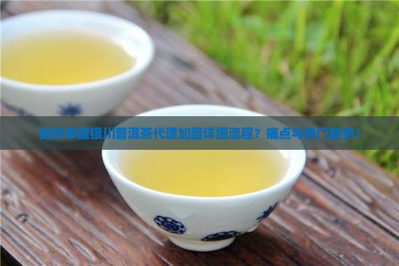 如何掌握银川普洱茶代理加盟详细流程？痛点与热门趋势！