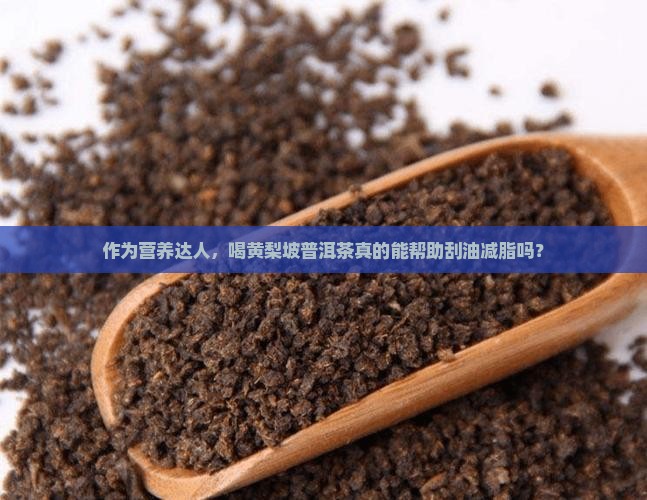 作为营养达人，喝黄梨坡普洱茶真的能帮助刮油减脂吗？