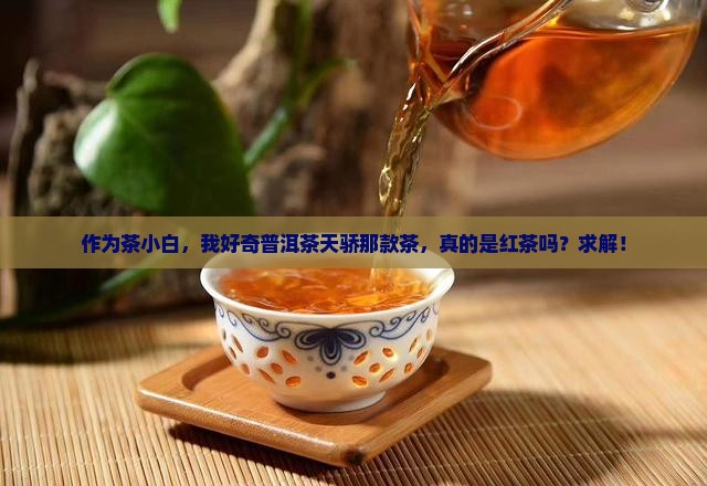 作为茶小白，我好奇普洱茶天骄那款茶，真的是红茶吗？求解！