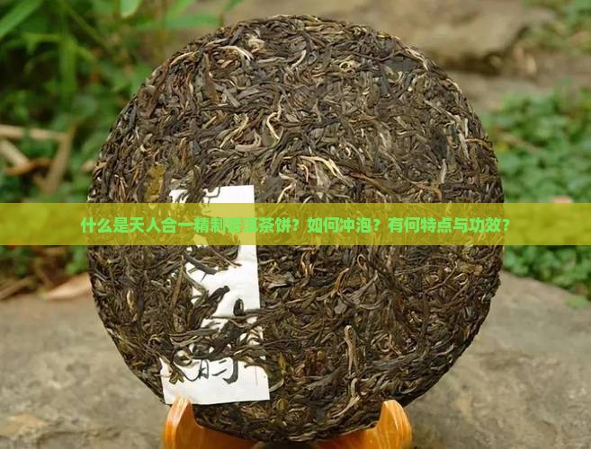 什么是天人合一精制普洱茶饼？如何冲泡？有何特点与功效？