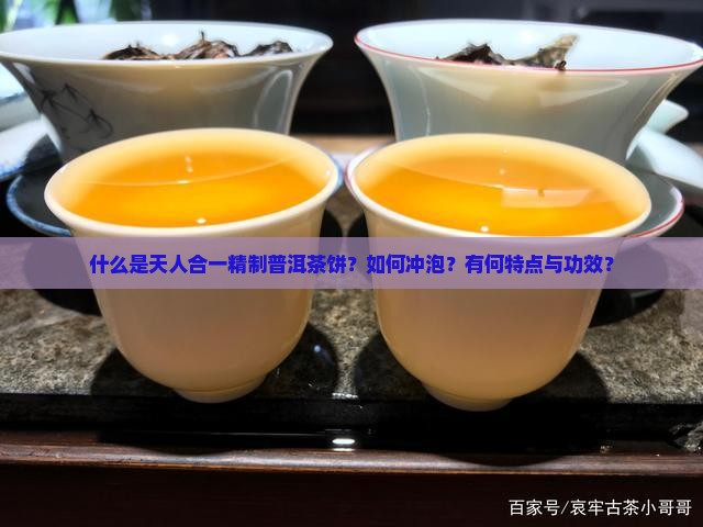 什么是天人合一精制普洱茶饼？如何冲泡？有何特点与功效？