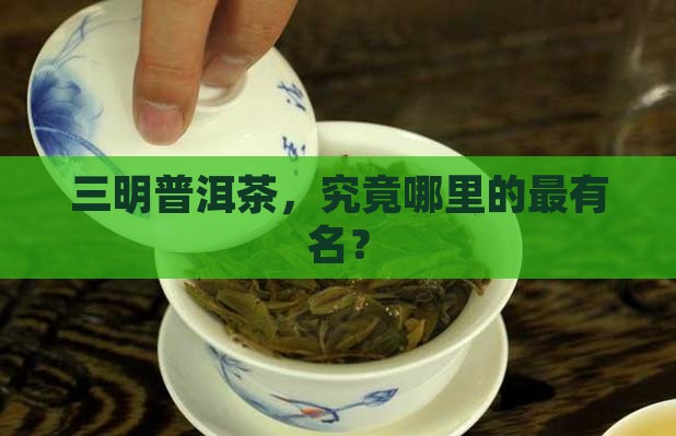 三明普洱茶，究竟哪里的最有名？