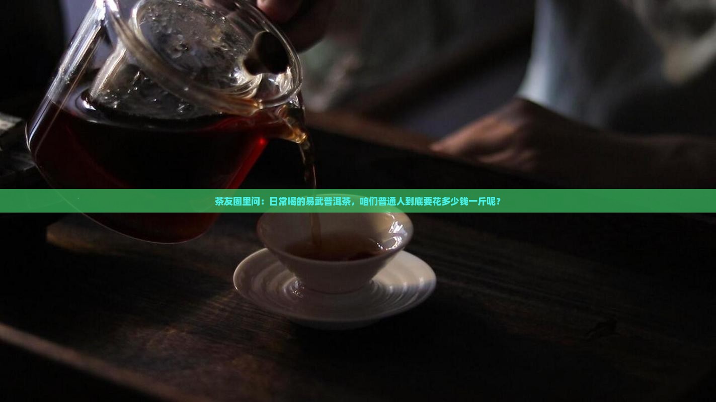 茶友圈里问：日常喝的易武普洱茶，咱们普通人到底要花多少钱一斤呢？