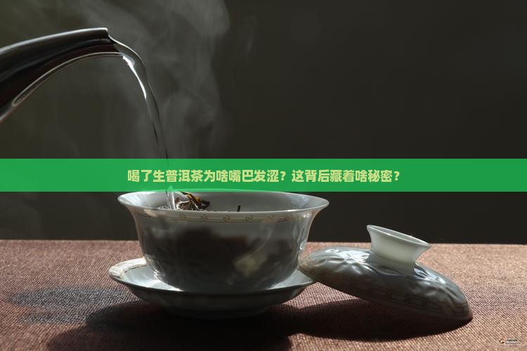 喝了生普洱茶为啥嘴巴发涩？这背后藏着啥秘密？