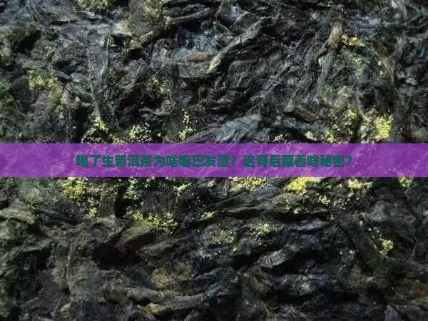 喝了生普洱茶为啥嘴巴发涩？这背后藏着啥秘密？