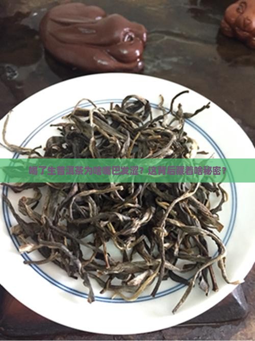 喝了生普洱茶为啥嘴巴发涩？这背后藏着啥秘密？