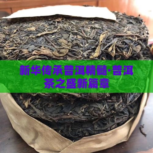 新华传承普洱精髓·普洱茶之盛新篇章