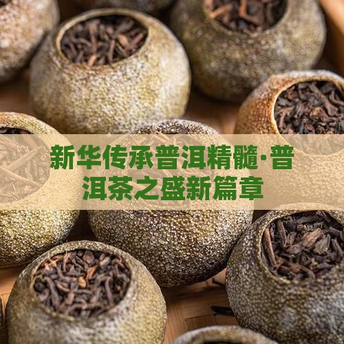新华传承普洱精髓·普洱茶之盛新篇章