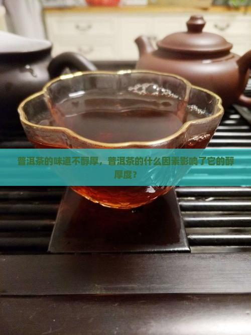 普洱茶的味道不醇厚，普洱茶的什么因素影响了它的醇厚度？