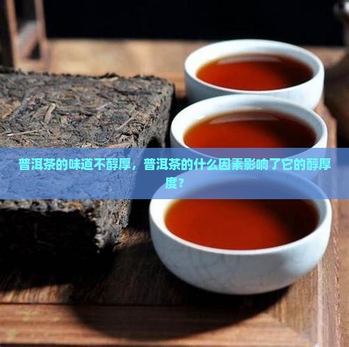 普洱茶的味道不醇厚，普洱茶的什么因素影响了它的醇厚度？