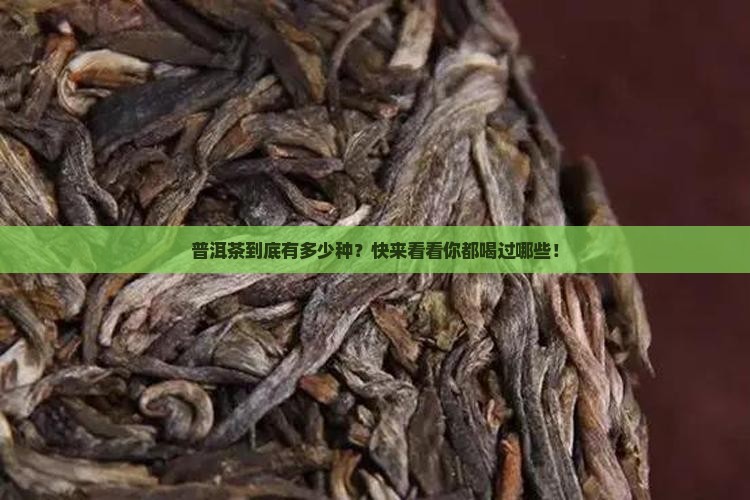 普洱茶到底有多少种？快来看看你都喝过哪些！
