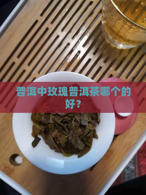 普洱中玫瑰普洱茶哪个的好？
