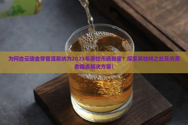 为何合云瑞金芽普洱茶纳为2023年茶饮市场新宠？探索其独特之处及消费者痛点解决方案！