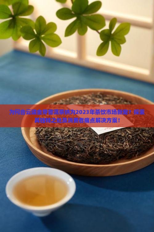 为何合云瑞金芽普洱茶纳为2023年茶饮市场新宠？探索其独特之处及消费者痛点解决方案！