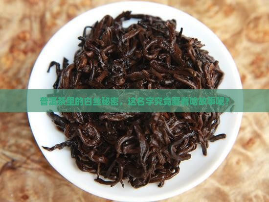 普洱茶里的白丝秘密，这名字究竟藏着啥故事呢？