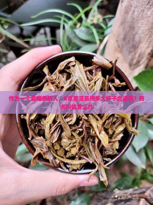 作为一个爱喝茶的人，8克普洱茶用多大杯子合适啊？有点纠结怎么办