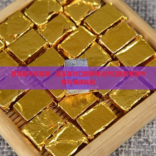 普洱茶与乌龙茶：证实其对口腔异味治疗口臭的有效作用与具体机制
