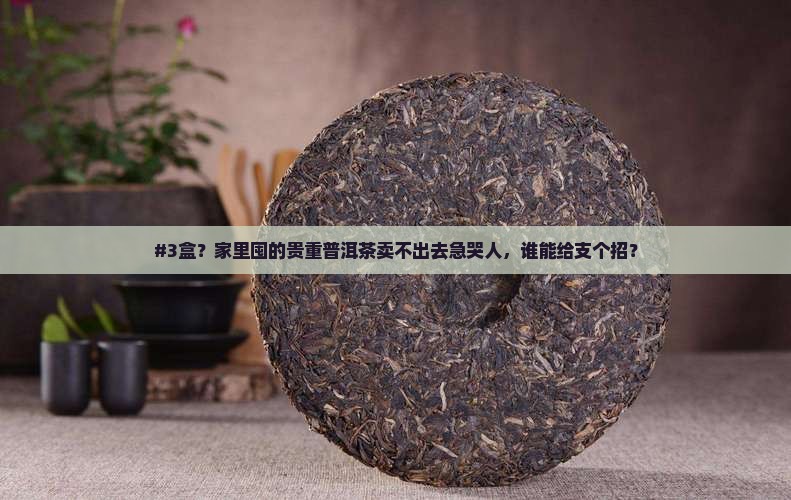 #3盒？家里囤的贵重普洱茶卖不出去急哭人，谁能给支个招？