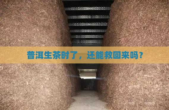 普洱生茶时了，还能救回来吗？