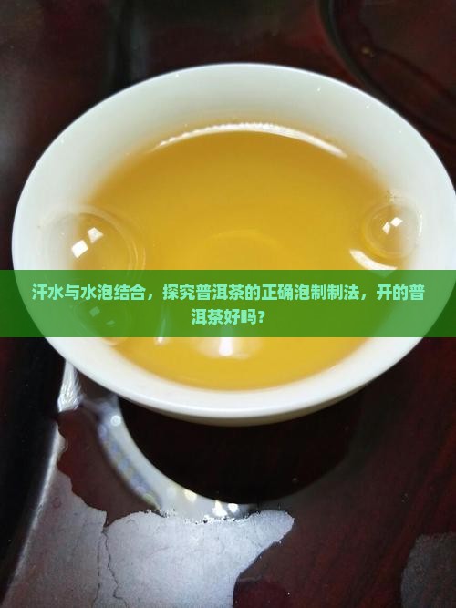 汗水与水泡结合，探究普洱茶的正确泡制制法，开的普洱茶好吗？