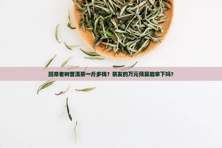 班章老树普洱茶一斤多钱？茶友的万元预算能拿下吗？