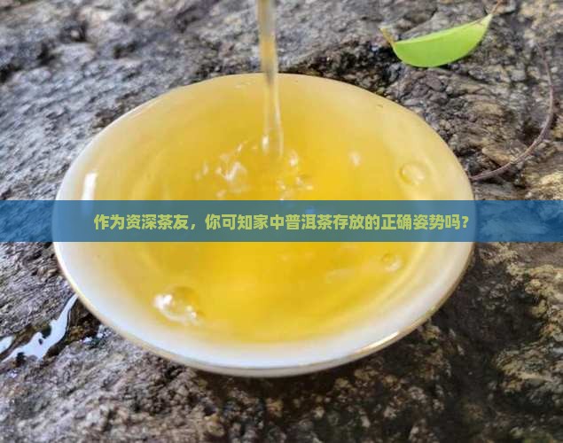 作为资深茶友，你可知家中普洱茶存放的正确姿势吗？