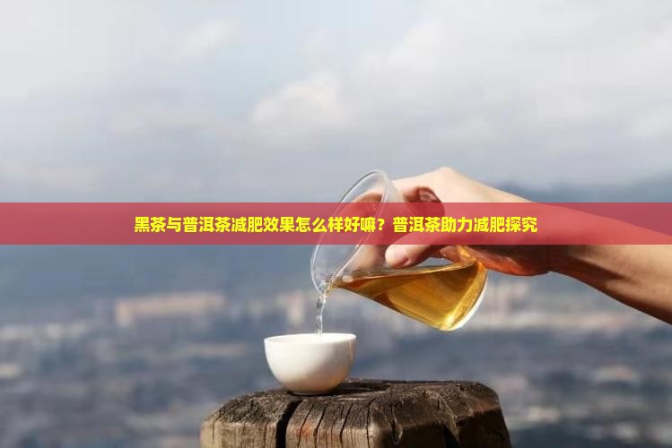 黑茶与普洱茶减肥效果怎么样好嘛？普洱茶助力减肥探究