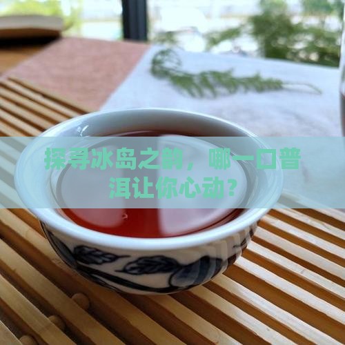 探寻冰岛之韵，哪一口普洱让你心动？