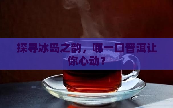 探寻冰岛之韵，哪一口普洱让你心动？